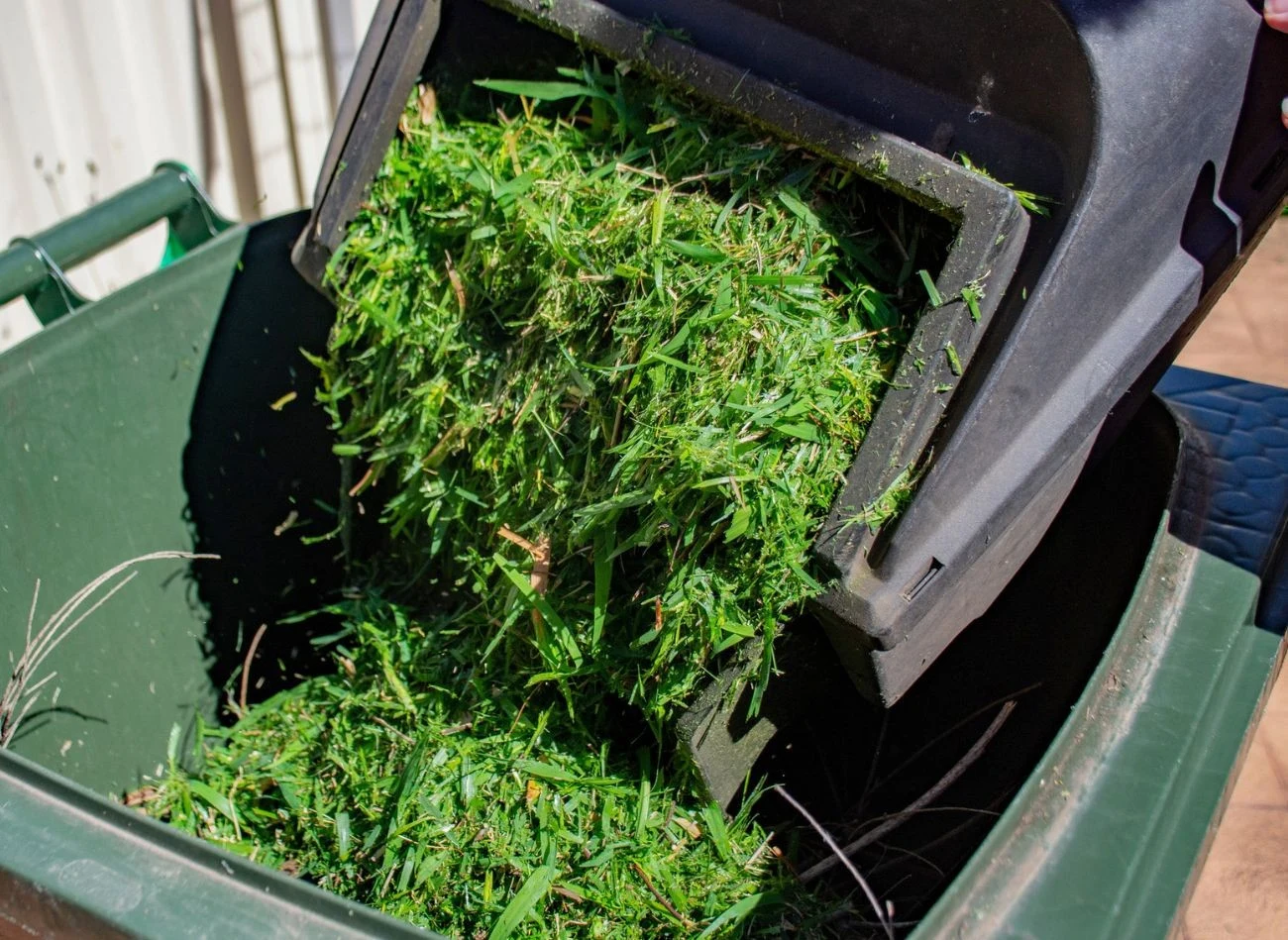 Zwykle skoszona trawa trafia do pojemników na bio odpady. To błąd.