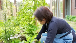 Ta przyprawa odstraszy mszyce, komary i ślimaki. Jak ją stosować?