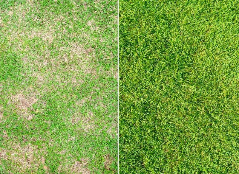 Przed założeniem nowego trawnika musimy pozbyć się starej darni