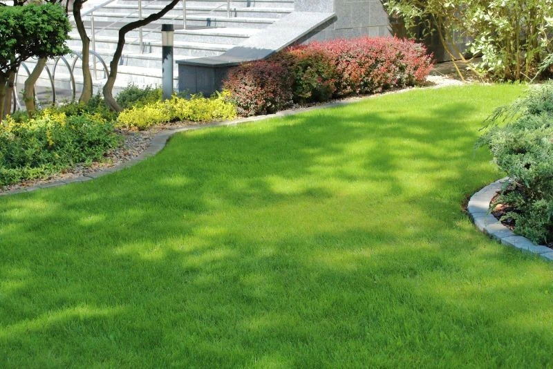 Ziemia pod trawnik nie powinna być zbyt kwaśna