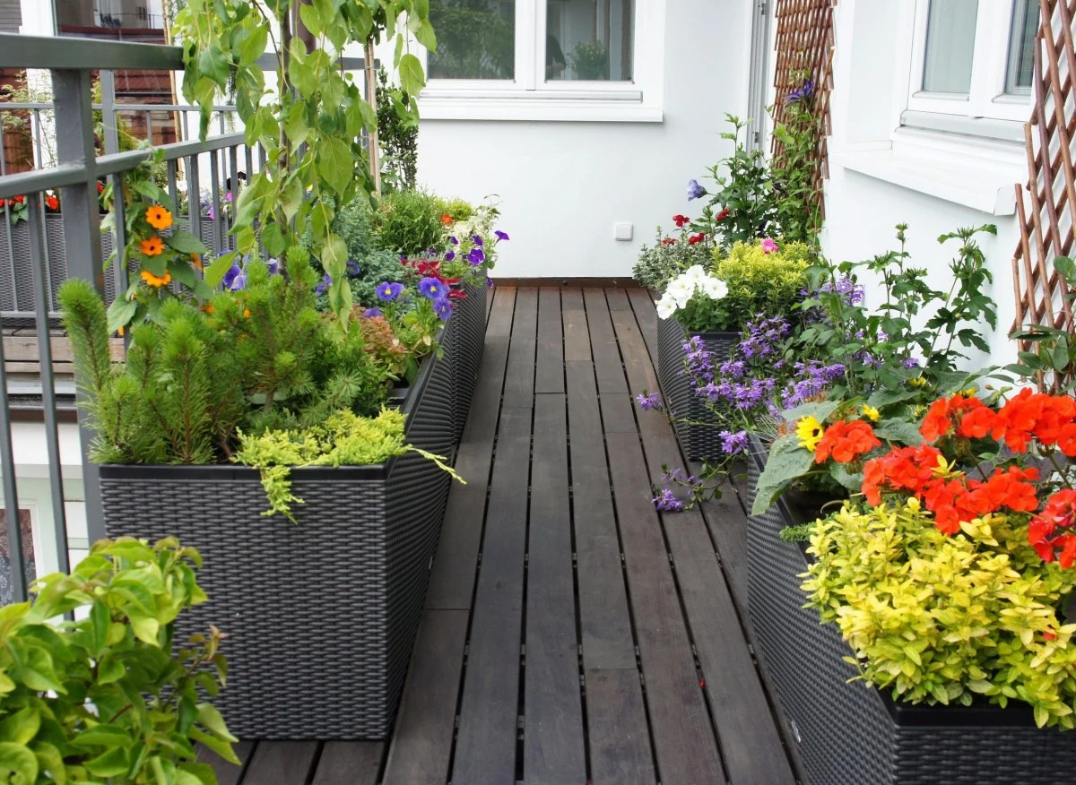 Top 7 najpiękniejszych roślin balkonowych