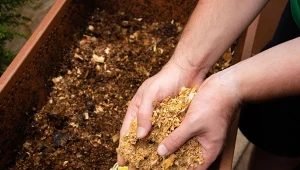 Jak zrobić kompost? Warstwowanie i przerzucanie – co jest lepsze?