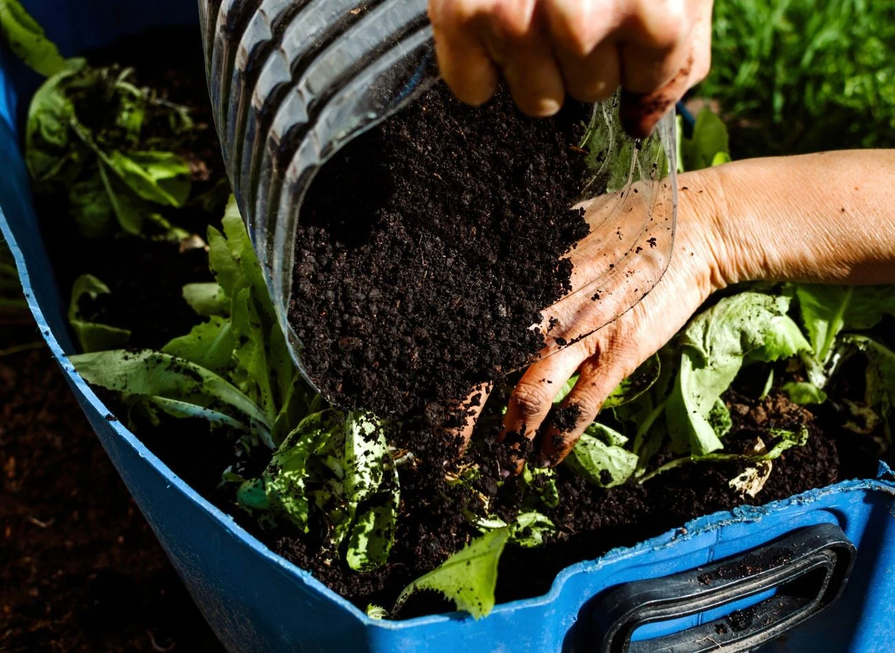 Warstwy w kompostowniku układa się zgodnie z odpowiednią kolejnością.