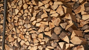 Czy warto palić dębem? Jakie są mocne i słabe strony tego opału?