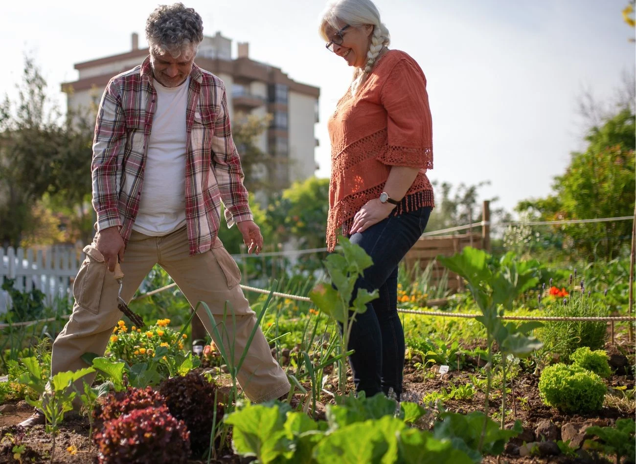 Ślimaki nie znoszą zapachu i struktury korka, dlatego warto obsypać nim. grządki