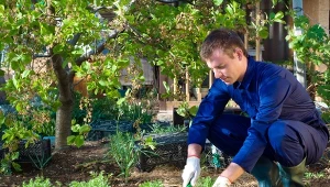 Co warto robić w ogrodzie na podstawie faz Księżyca? Oto zadania na konkretne dni czerwca.
