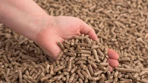 Nowe normy jakościowe dla pelletu określają m.in. dopuszczalną średnicę granulek.