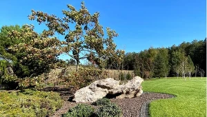 Wszechstronne rozwiązanie do ogrodu. Jak stosować lawę wulkaniczną?