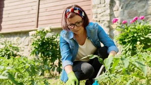 Ponadto ślimaki najlepiej czują się w ogrodach, gdzie gleba nie jest kwaśna i zawiera dużo węglanu wapnia.