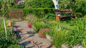 Ile kosztuje działka ROD? Ceny zależą m.in. od lokalizacji.