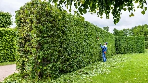 Warto pamiętać, że przed sezonem wszystkie narzędzia powinny być naostrzone i zakonserwowane / Adobe Stock