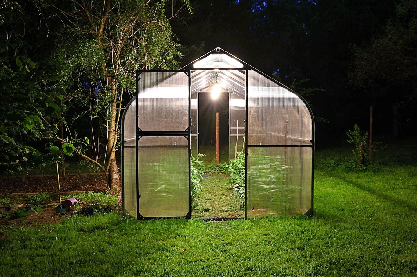 Szklarnia to doskonałe miejsce do przechowywania wrażliwych roślin podczas przymrozków / Adobe Stock