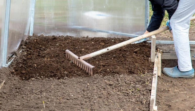 Pomidory potrzebują żyznego, zasobnego w składniki odżywcze podłoża