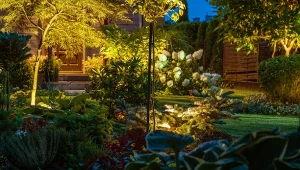 Noc potrafi wydobyć z ogrodu jego prawdziwy charakter