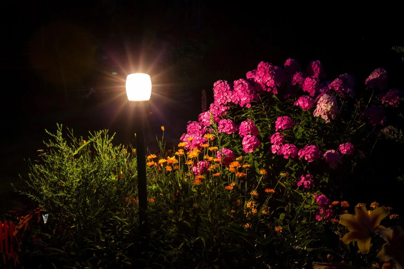 Nie chodzi tylko o to, by ogród po zmroku świetnie wyglądał, ale też, by intrygował
