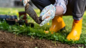 Pełnowartościowy kompost można mieć już po 3 miesiącach. Jak to zrobić?