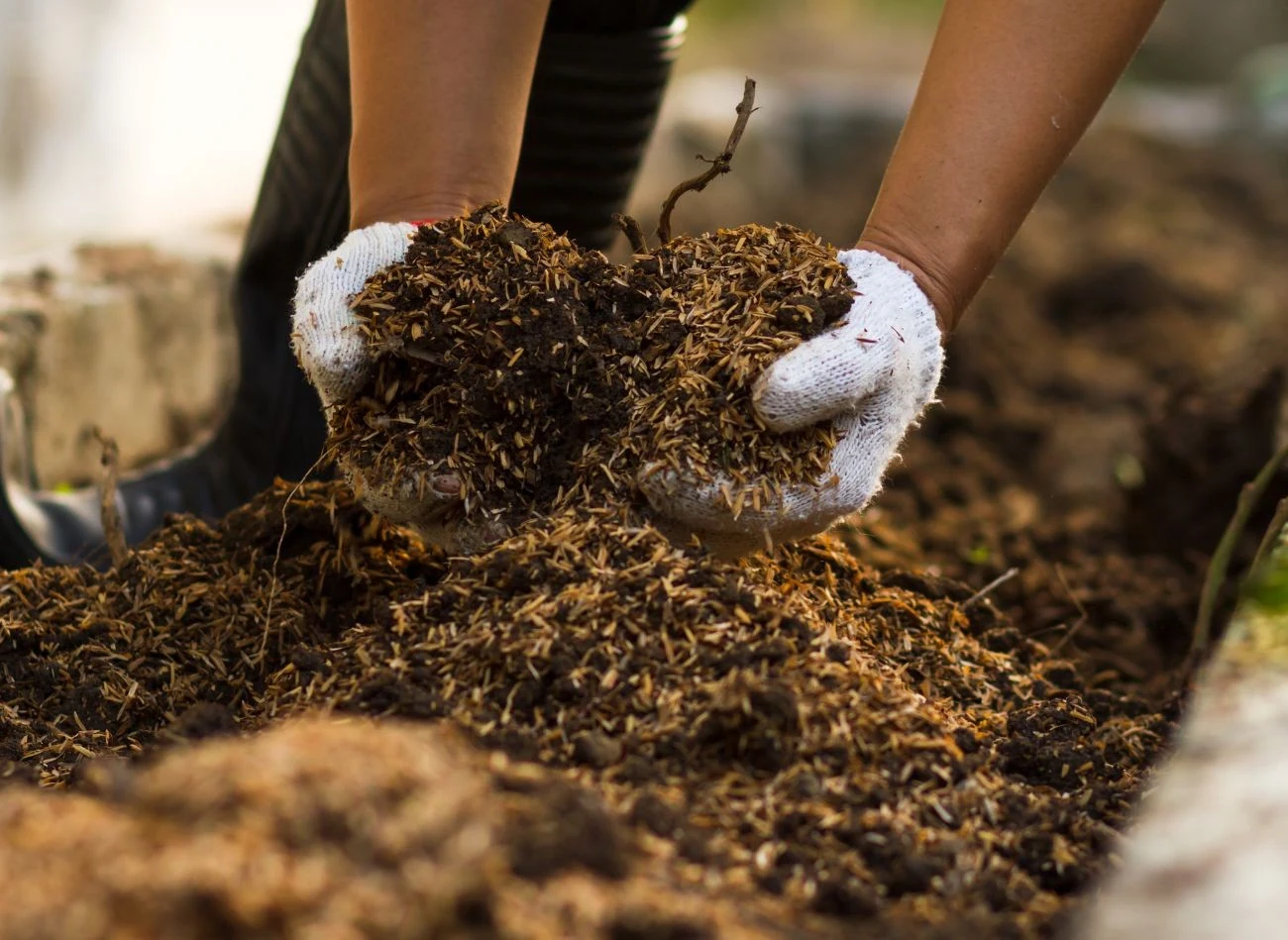 Nie bez przyczyny kompost nazywany jest "czarnym złotem" ogrodników