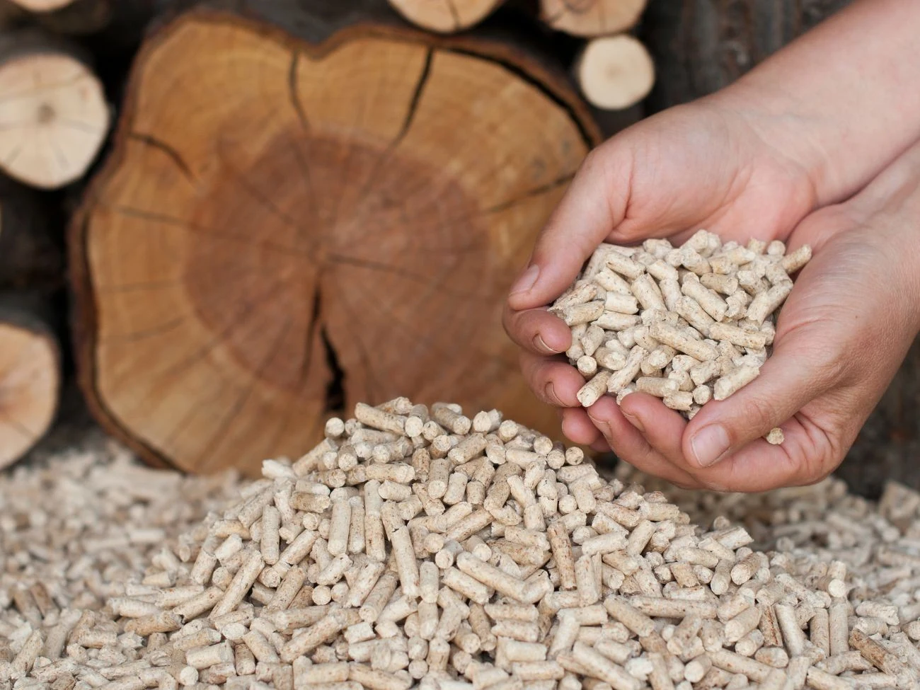 Pellet powstaje z drewna i jest uznawany za paliwo odnawialne