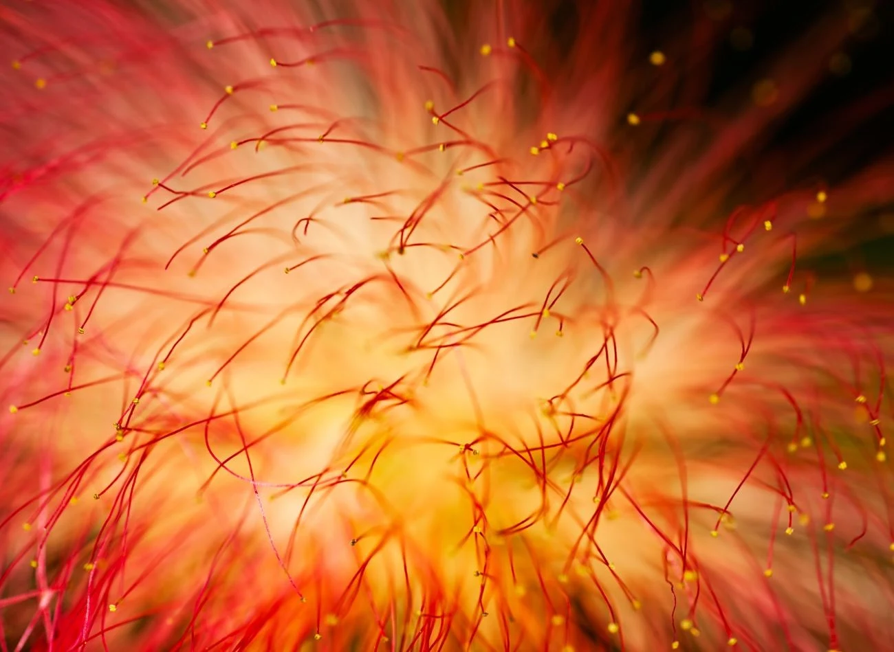 Fot. BrankoBG/CanvaPro