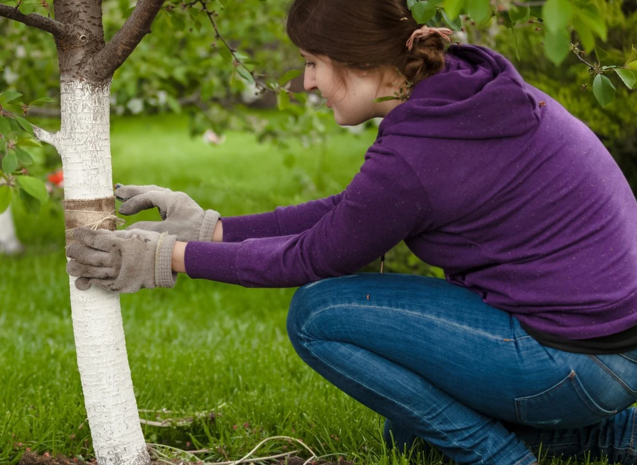 Neutralne barwy opasek sprawdzają się szczególnie w ogrodach ekologicznych.