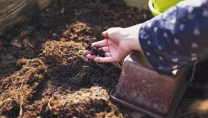 Czym jest leniwe kompostowanie?