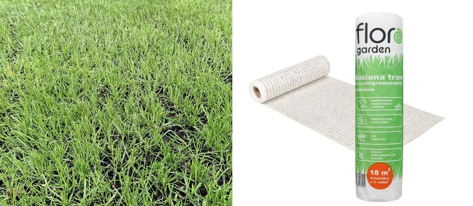 Wystarczy ułożyć, podlać i… cierpliwie czekać, aż natura zajmie się resztą