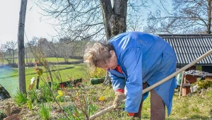 Kompost i ściółkę można stosować równocześnie. Jak robić ro prawidłowo i z dobrym efektem?