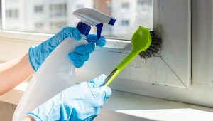 Domowy płyn sprawi, że pożółkłe ramy okienne znów będą nieskazitelnie białe.