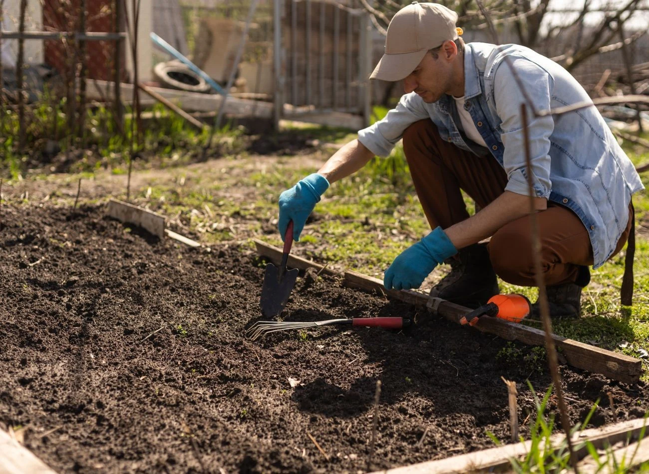 Wióry rogowe, podobnie jak obornik, to naturalny i ekologiczny nawóz, który można stosować w ogrodzie.
