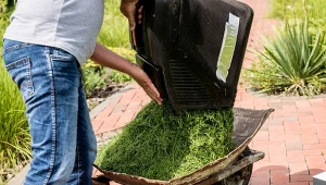 Gdzie wyrzucać skoszoną trawę? Tu wrzucaj gałęzie, liście i ziemię