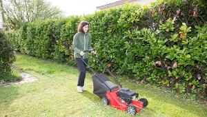 Kiedy kosić trawnik po zimie?