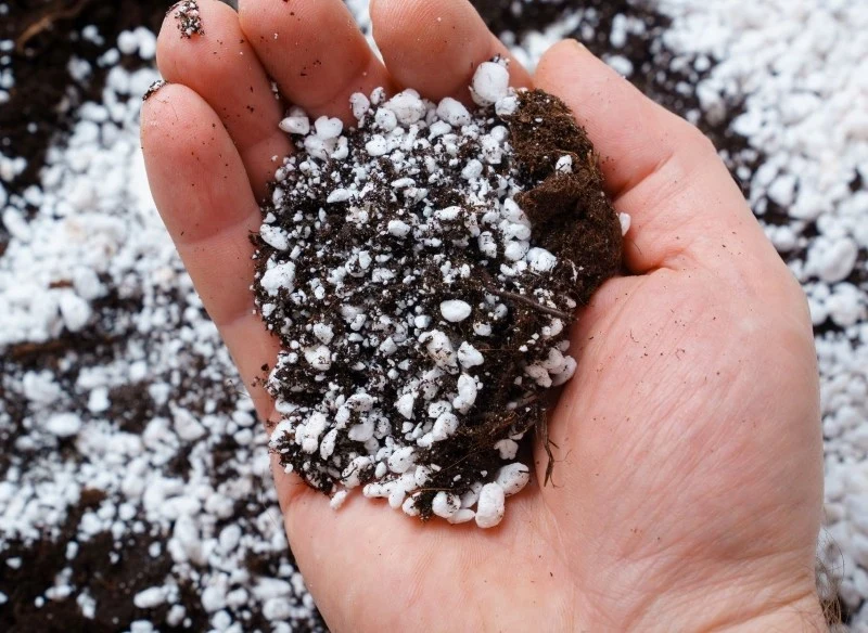 Dodatek perlitu poprawia strukturę gleby oraz doskonale ją napowietrza