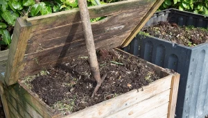 Wyjaśniamy, dlaczego warto hodować dżdżownice kalifornijskie w kompostowniku.