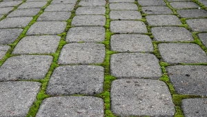 Jak usunąć mech z kostki brukowej?