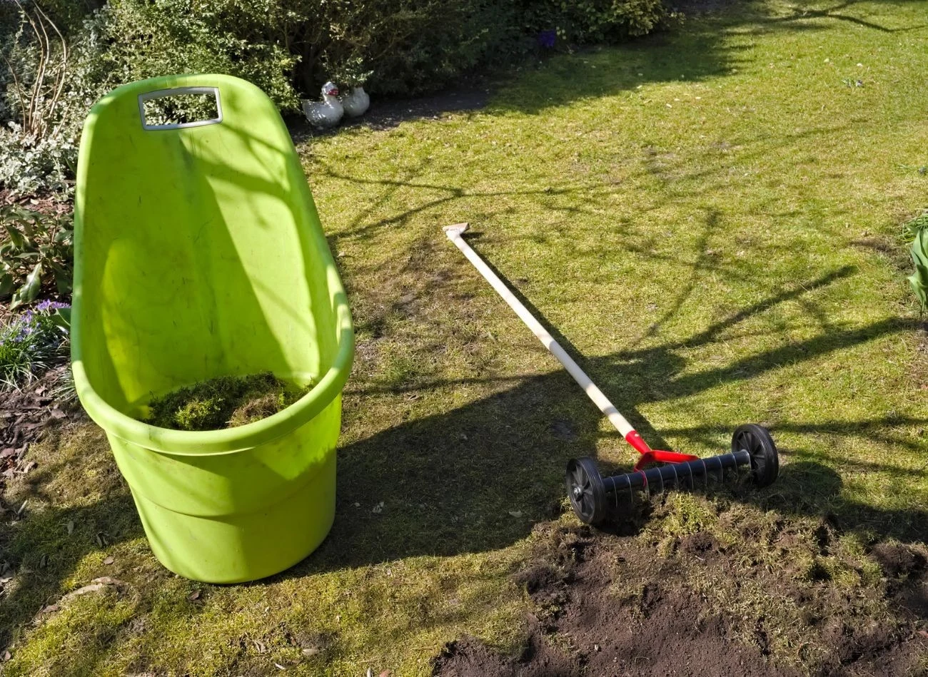Wiele osób stosuje ręczne usuwanie mchu z trawnika. W tym wypadku dosianie trawy jest konieczne.