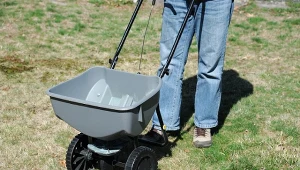 Piaskowanie trawnika to obowiązkowy wiosenny zabieg.