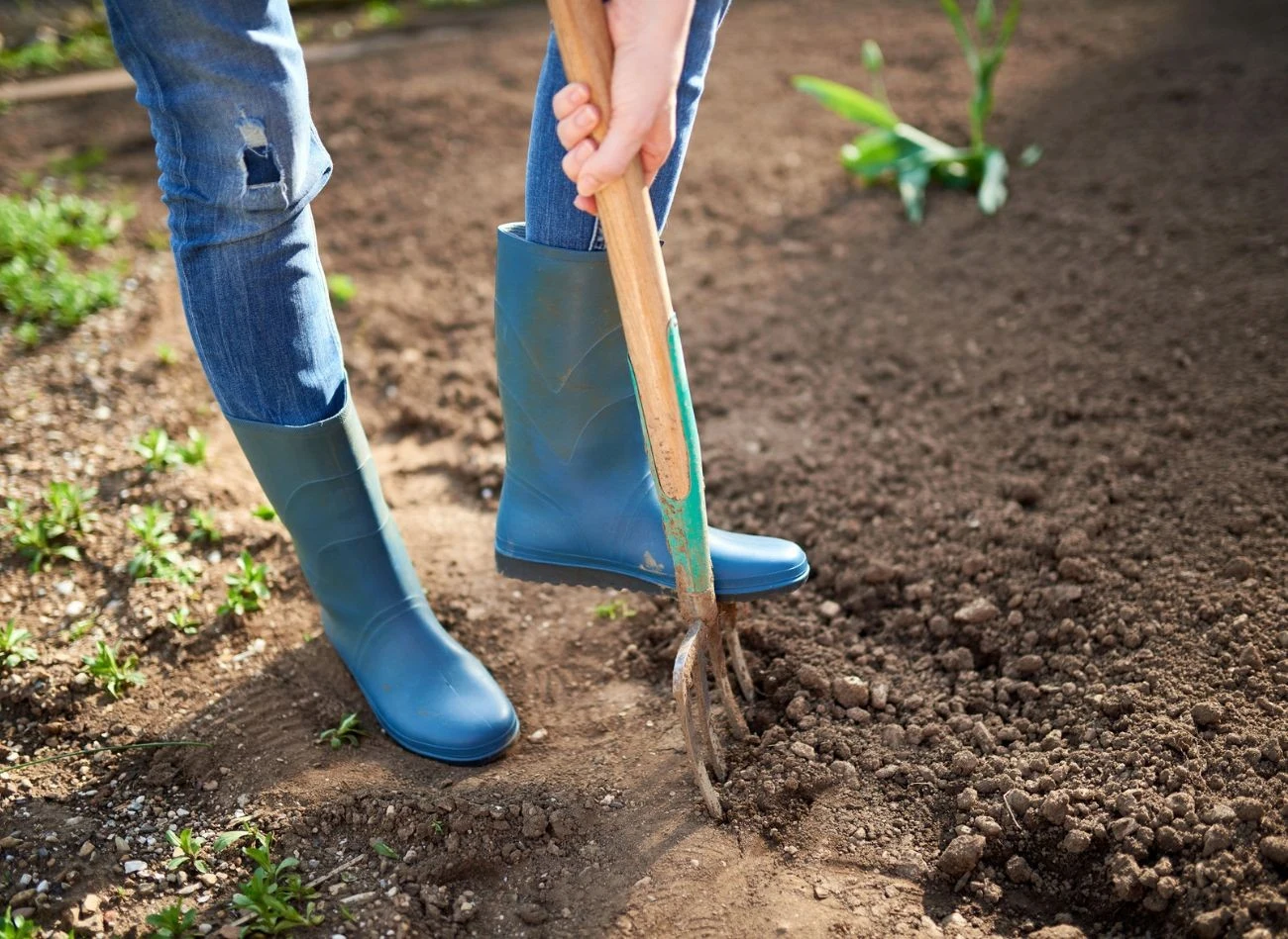 Gleba o wysokiej żyzności pozwala ograniczyć stosowanie nawozów mineralnych o 10-15 proc.