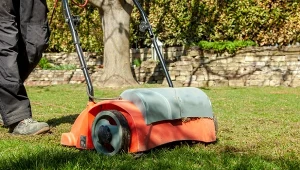 Co najpierw wykonać - wertykulację czy aeracje trwnika?