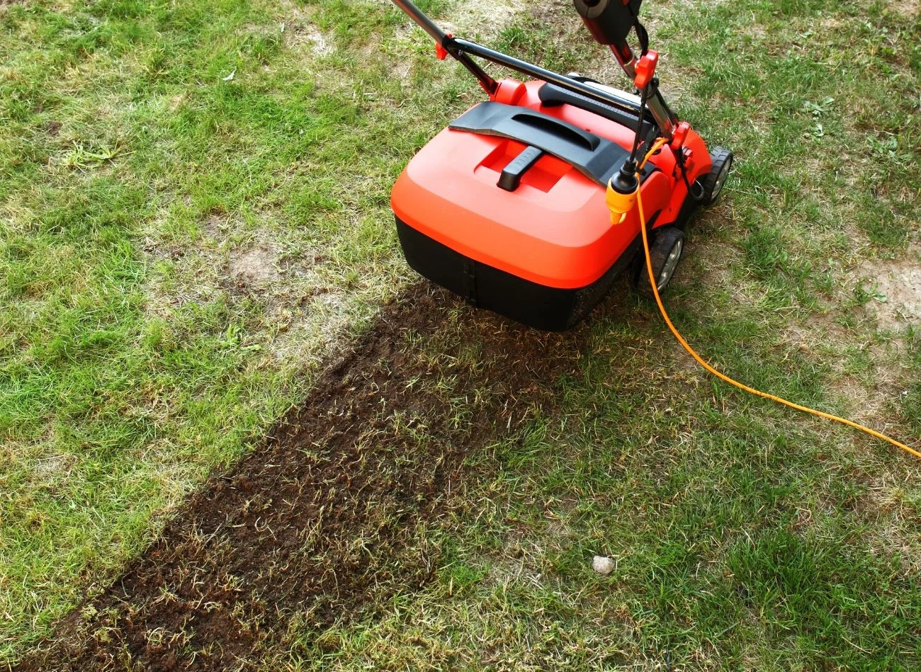 Aeracja na trawnikach, które są mocno eksploatowane, powinna być wykonywana wiosną i jesienią.
