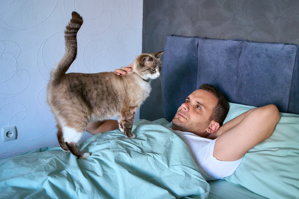 Mężczyzna leży w łóżku pod niebieską pościelą, obok niego stoi kot, którego głaszcze po grzbiecie, a kot patrzy na niego.