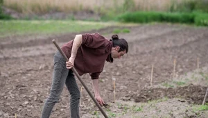 Zastosowanie wapna magnezowego w ogrodzie niesie ze sobą szereg korzyści, które są widoczne niemal natychmiast.