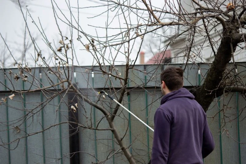 Jakie rośliny pryskać preparatem miedziowym, a których nie