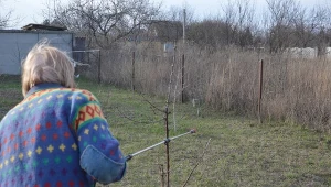 Pamiętajmy o wiosennych opryskach drzew i krzewów owocowych.