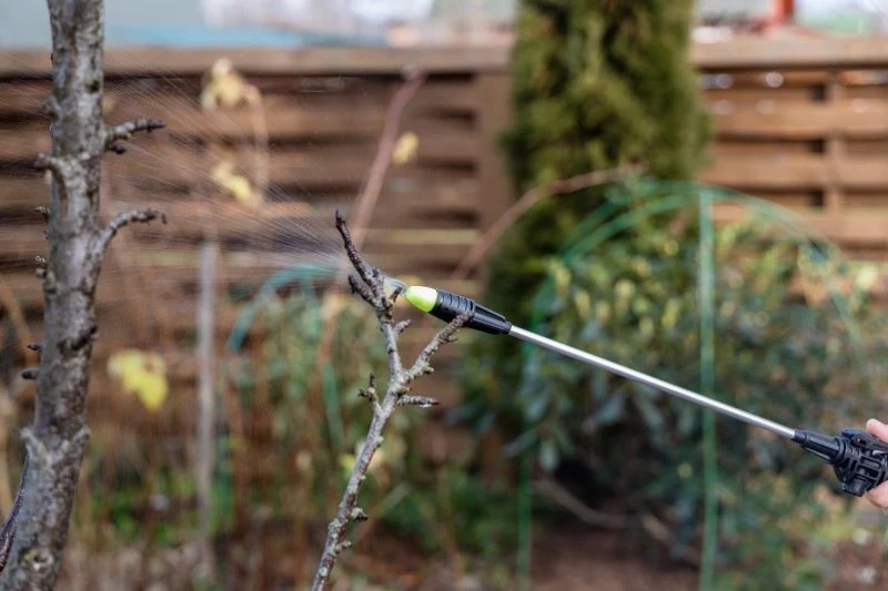 Oprysk olejem parafinowym uznawany jest za ekologiczny