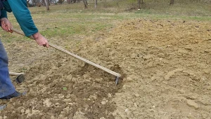 Dobrej jakości gleba to klucz do sukcesu w uprawie warzyw. Jak ją przygotować?