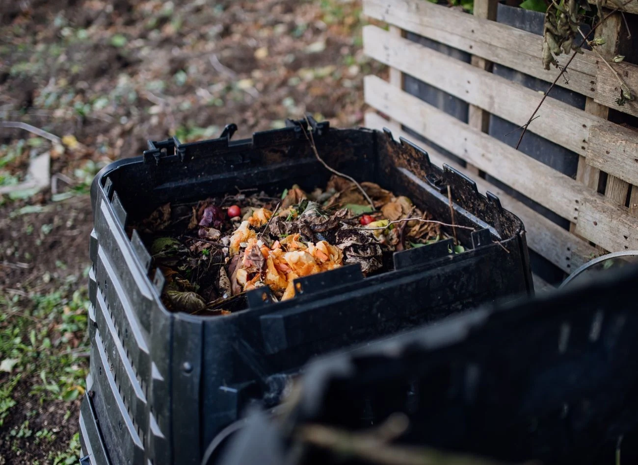Kompostowanie trawa nawet do 14 miesięcy, ale można naturalny sposób przyspieszyć ten proces.