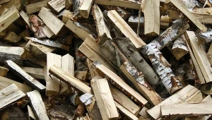 Drewno z topoli osika nie jest bardzo kaloryczne, ale ma wiele innych zalet.