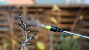 Ogrodnicy zalecają opryski w marcu. Czas na ochronę ogrodu przed szkodnikami właśnie nadszedł.