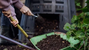 Ulga za kompostownik zaczyna być coraz wyraźniej odczuwalna dla mieszkańców różnych gmin. Tak możesz ją stracić.