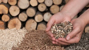 Kiedy pellet jest najtańszy i warto kupić więcej?